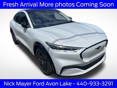 2022 Ford Mustang Mach-E California Route 1
