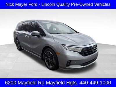 2024 Honda Odyssey Elite