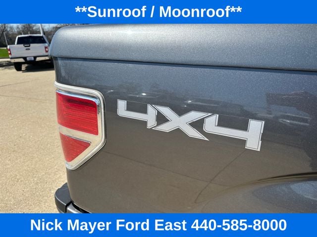 2013 Ford F-150 Platinum