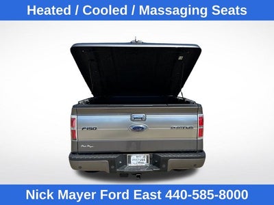 2013 Ford F-150 Platinum